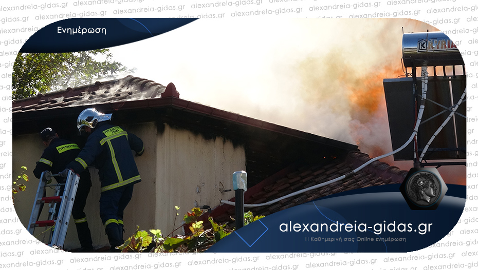 ΤΩΡΑ: Συνεχόμενες σειρήνες της πυροσβεστικής στην Αλεξάνδρεια – τι έχει συμβεί