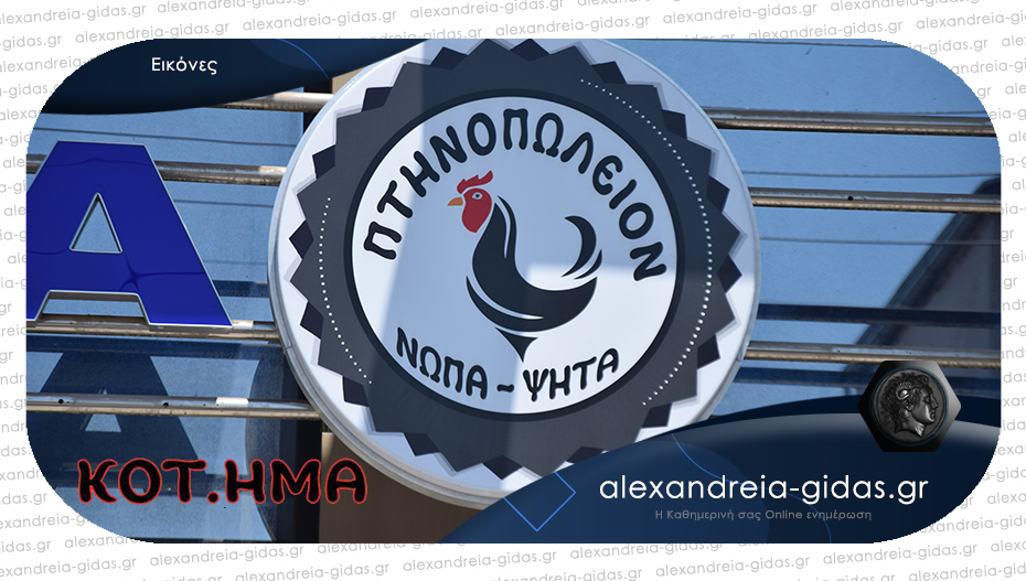 ΚΟΤΗΜΑ στην Αλεξάνδρεια: Με νέες προσφορές ΜΟΝΟ από ελληνικά κοτόπουλα!