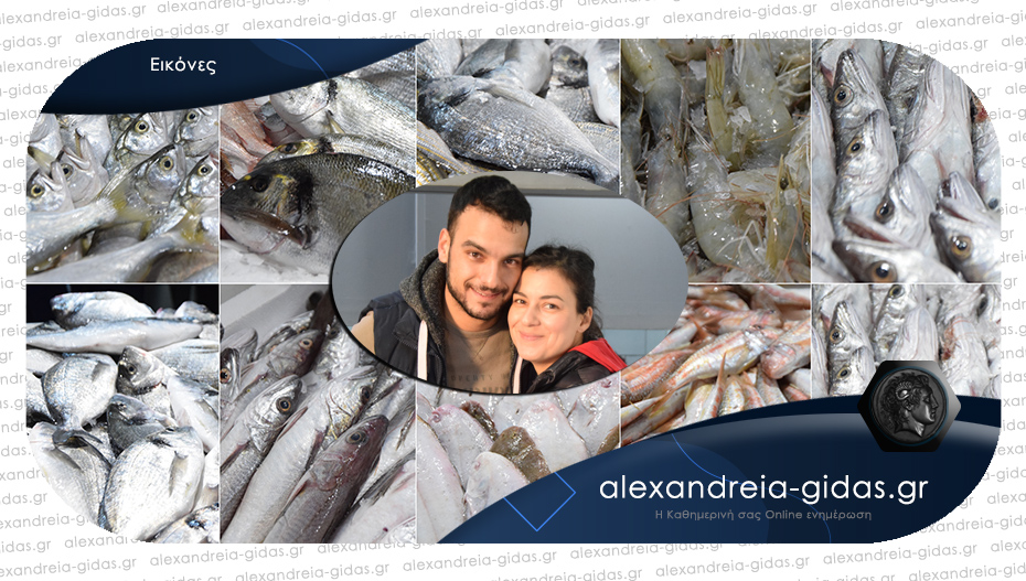 Σάββατο στο Ψαράδικο ΤΣΟΛΑΚΙΔΗΣ στην Αλεξάνδρεια με φρέσκα και ψητά ψάρια!