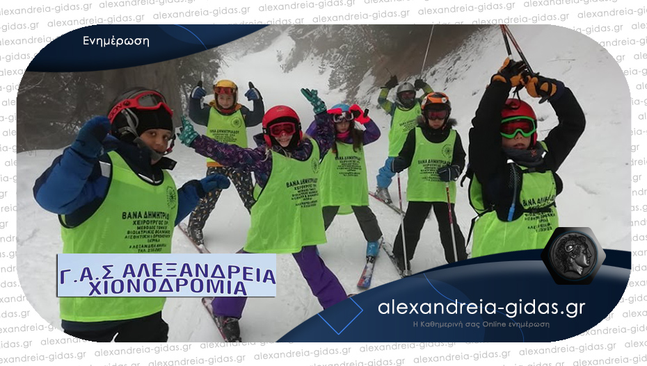 Συνεχίζονται οι εγγραφές στα τμήματα χιονοδρομίας (σκι) του ΓΑΣ Αλεξάνδρειας