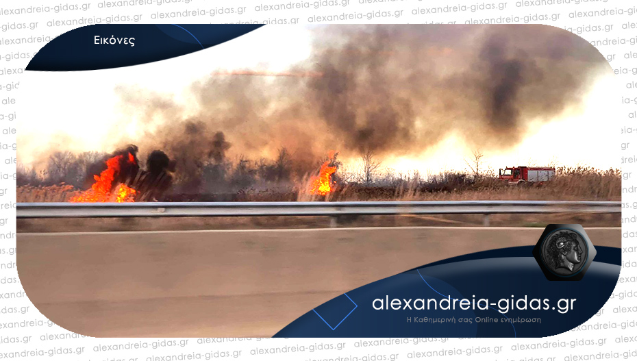 Φωτιά το απόγευμα στην Εγνατία Οδό στο ύψος της Αλεξάνδρειας