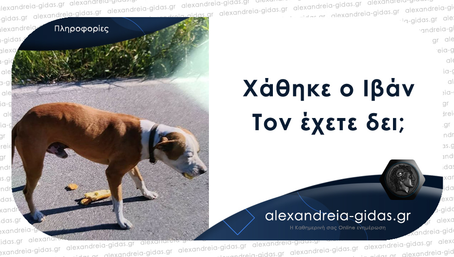 Ψάχνουν τον Ιβάν – βοηθήστε!