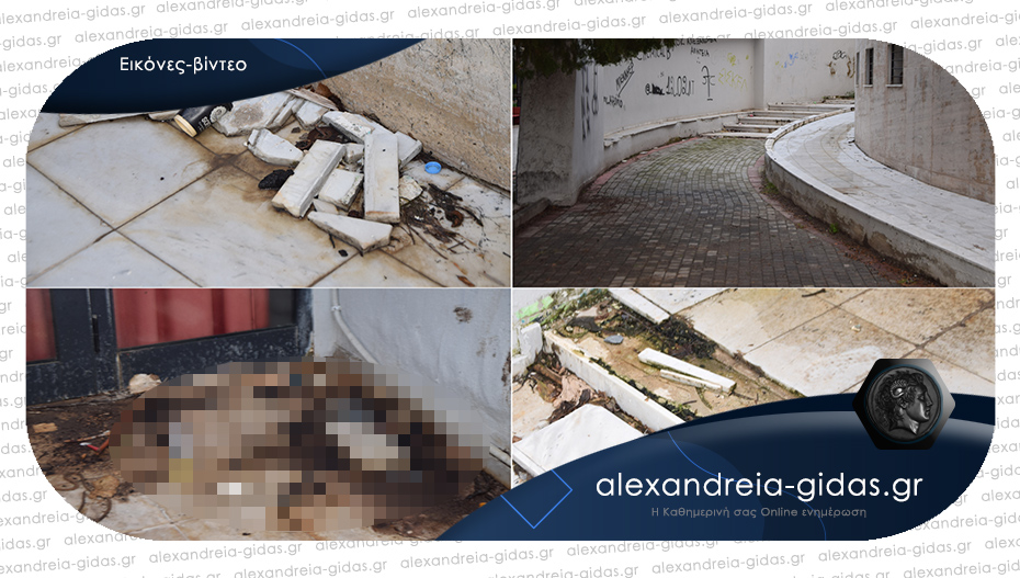 Εικόνες ντροπής στο κέντρο της Αλεξάνδρειας