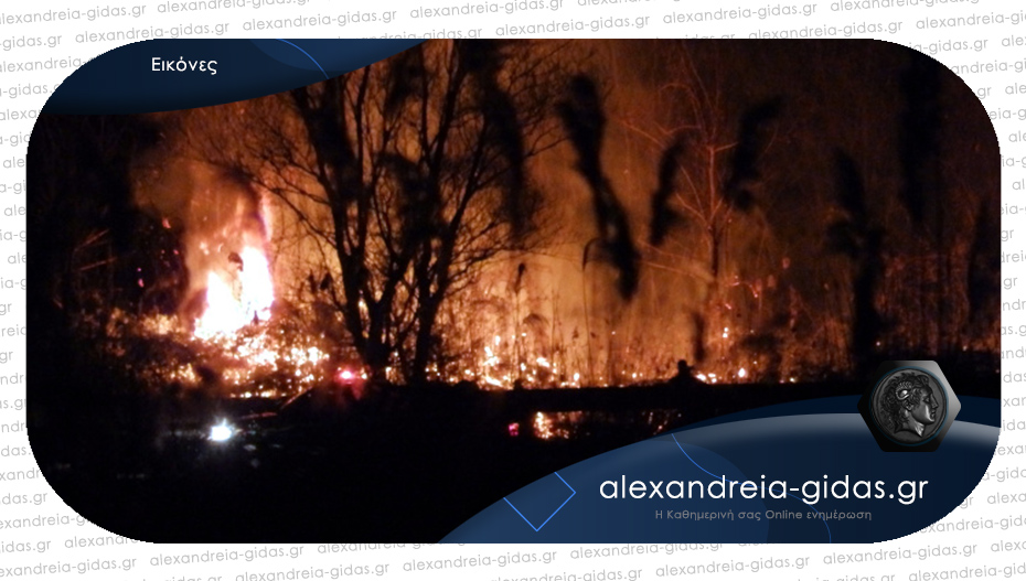 Πριν λίγο: Φωτιά στις γραμμές του ΟΣΕ στο Παλαιοχώρι