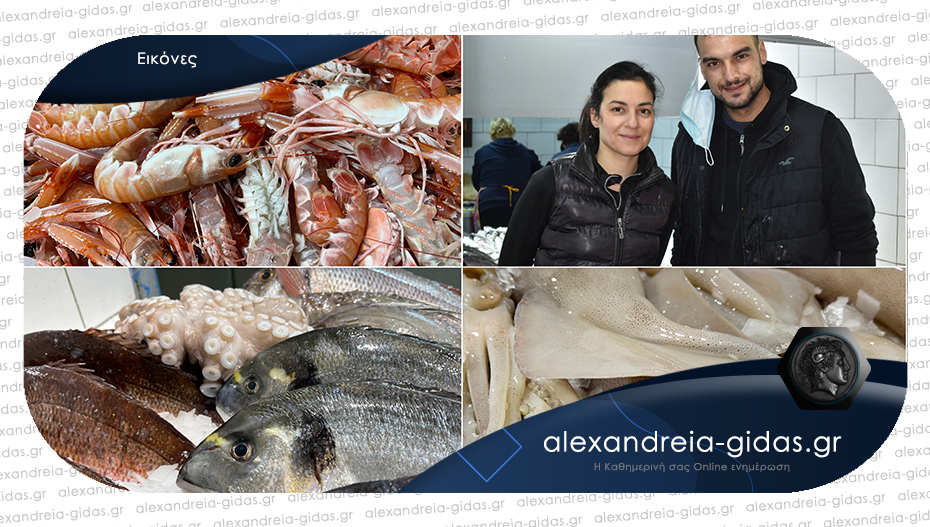 Φρέσκα ψάρια και θαλασσινά σήμερα Σάββατο στον ΤΣΟΛΑΚΙΔΗ στην Αλεξάνδρεια!