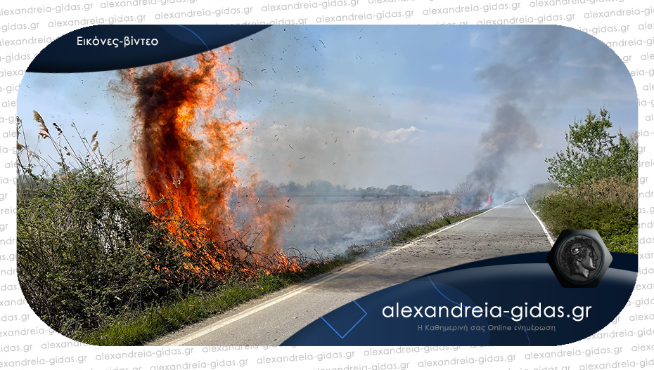 Άνοιξε ο καιρός και ξεκίνησαν οι φωτιές στην Αλεξάνδρεια