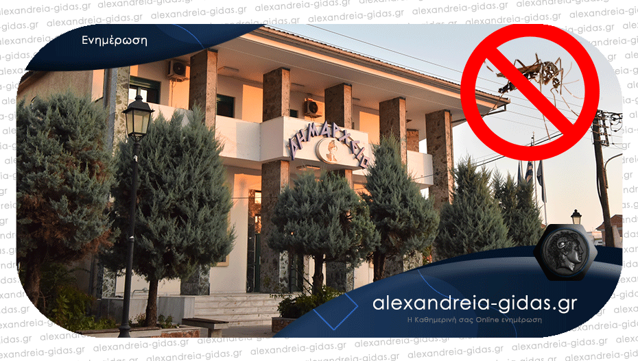 Ξεκινά τον διαγωνισμό για την καταπολέμηση των κουνουπιών ο δήμος Αλεξάνδρειας
