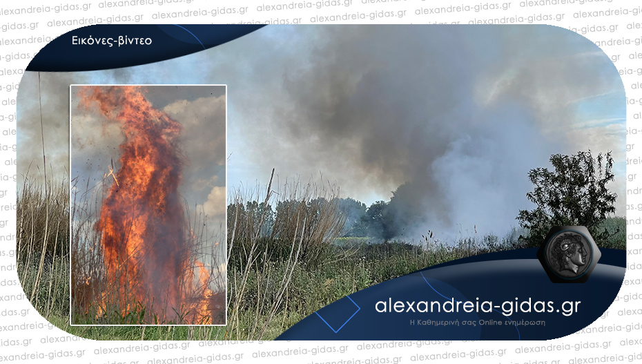 Μεγάλη φωτιά σήμερα και πάλι στην περιοχή “Παλιομάνα” στον δήμο Αλεξάνδρειας