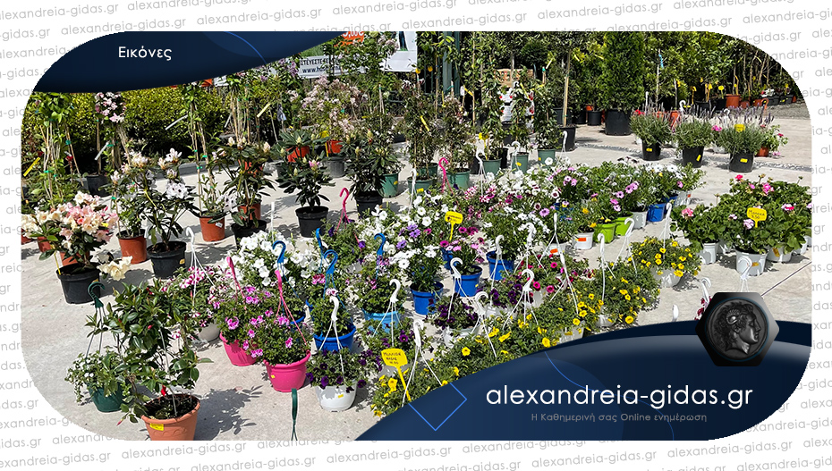 Βούλα ΠΟΥΛΟΥΣΛΑΡ στην Αλεξάνδρεια: Μεγάλη ποικιλία σε άνθη και φυτά!