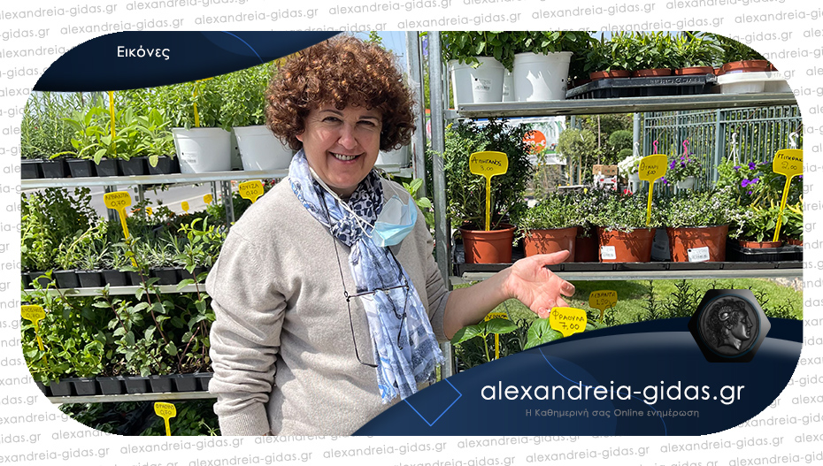 Βούλα ΠΟΥΛΟΥΣΛΑΡ στην Αλεξάνδρεια: Άνθη, φυτά και όσα χρειάζεστε για τον κήπο σας!
