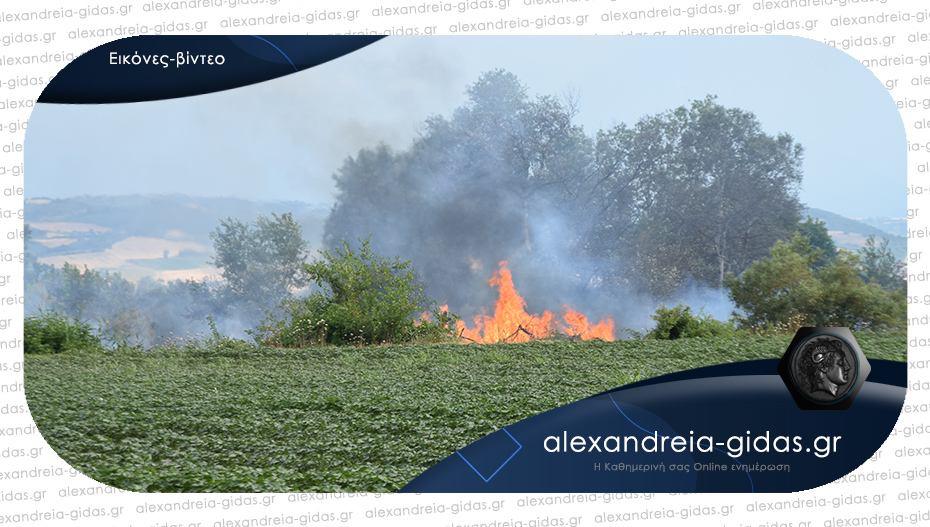 Μεγάλη φωτιά σε αγροτική έκταση του δήμου Αλεξάνδρειας