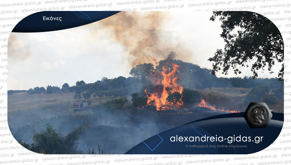 Μεγάλη φωτιά στα Παλιάμπελα Πιερίας