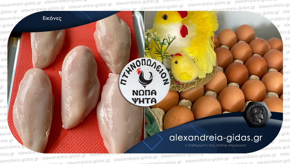 Νέες προσφορές από τα κοτόπουλα ΚΟΤΗΜΑ στην Αλεξάνδρεια – δείτε!