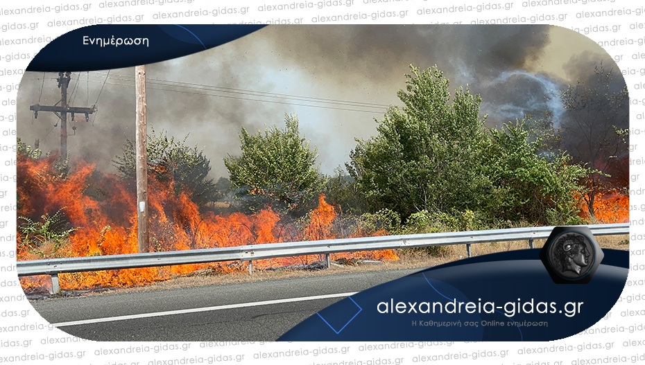 ΤΩΡΑ: Μεγάλη φωτιά στην Εγνατία Οδό στον δήμο Αλεξάνδρειας