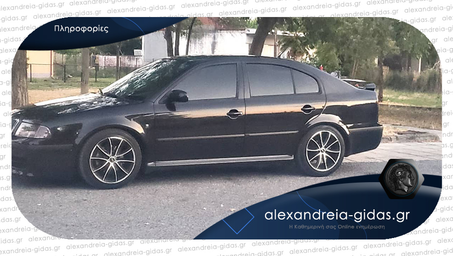 Έκλεψαν αυτοκίνητο μάρκας Skoda στην Αλεξάνδρεια – βοηθήστε!