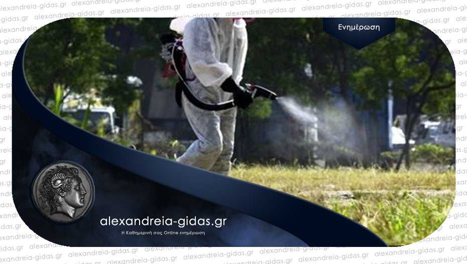 Από σήμερα οι επίγειοι ψεκασμοί για τα κουνούπια στα χωριά του δήμου Αλεξάνδρειας – δείτε το πρόγραμμα