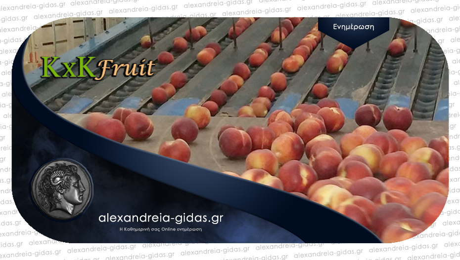 Προσλήψεις για διαλογή-συσκευασία φρούτων στην ΚxΚ Fruit στον Π. Πρόδρομο Ημαθίας