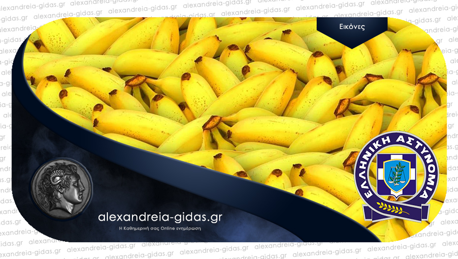 100 κιλά κοκαΐνης από το Εκουαδόρ βρέθηκαν σε φορτηγό με μπανάνες στη Βέροια!