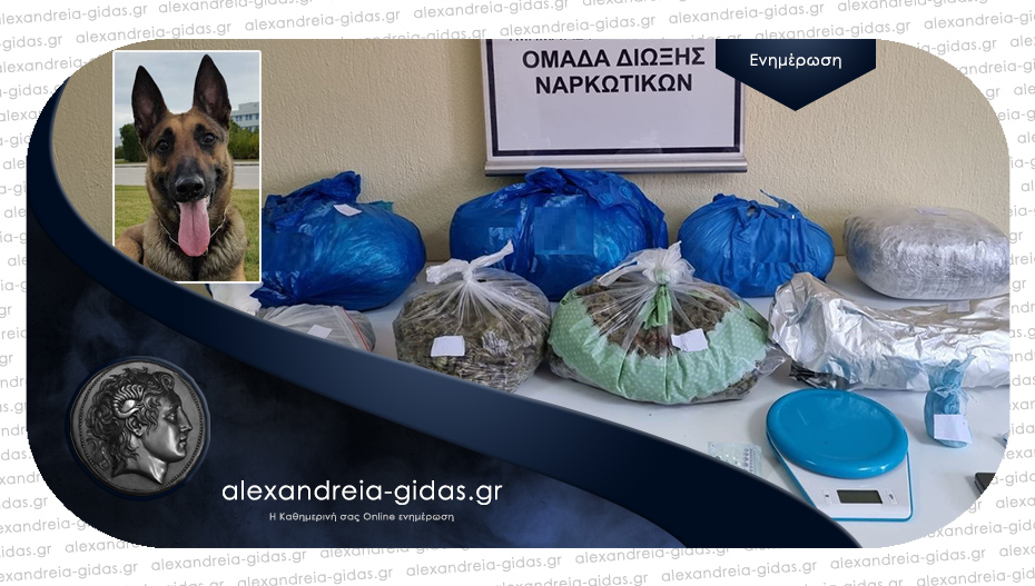 Κάνναβη και κοκαΐνη εντόπισαν στη Θεσσαλονίκη οι αστυνομικοί της Ημαθίας
