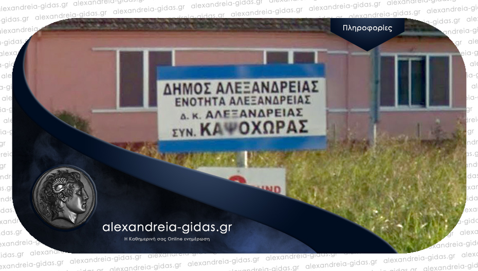 Αναγνώστης: “Είδα 2 λύκους στην Καψόχωρα και στον δρόμο Αλεξάνδρειας – Λουτρού”