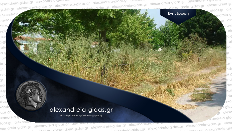 Υποχρεωτικός ο καθαρισμός των οικοπέδων στον δήμο Αλεξάνδρειας – πόσο είναι το πρόστιμο