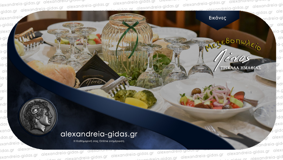 Σούβλες, Φρέσκα ψάρια, μουσική και πολύ ποτό στην ταβέρνα ΛΕΝΟΣ στα Τρίκαλα!
