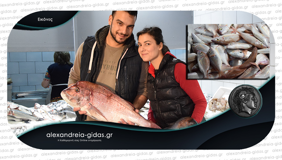 Ψαράδικο ΤΣΟΛΑΚΙΔΗΣ: Σάββατο στην Αλεξάνδρεια με φρέσκα και ψημένα ψάρια!