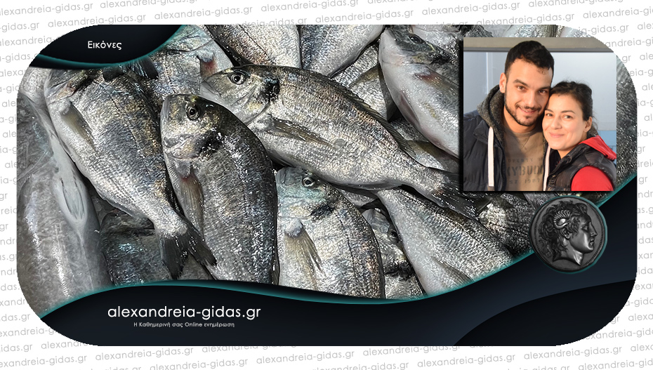 Ψαράδικο ΤΣΟΛΑΚΙΔΗΣ στην Αλεξάνδρεια: Σας περιμένει το Σάββατο με φρέσκα ψάρια και θαλασσινά!
