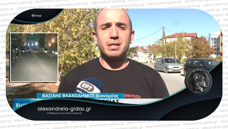 Ο Βασίλης Βλαχοδήμος μίλησε στην ΕΡΤ για τον λύκο που συνάντησε στην Αλεξάνδρεια!