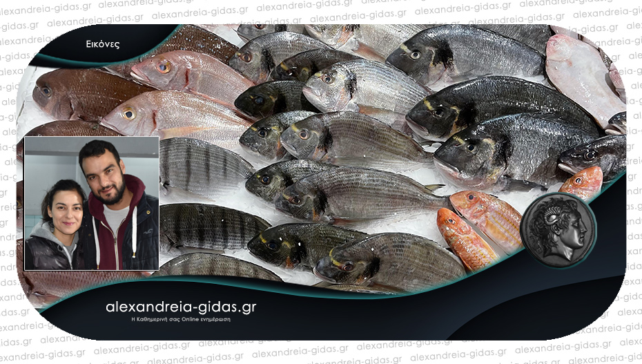 Σάββατο στο Ψαράδικο ΤΣΟΛΑΚΙΔΗΣ στην Αλεξάνδρεια: Φρέσκα ψάρια – ζητήστε να σας τα ψήσουν!