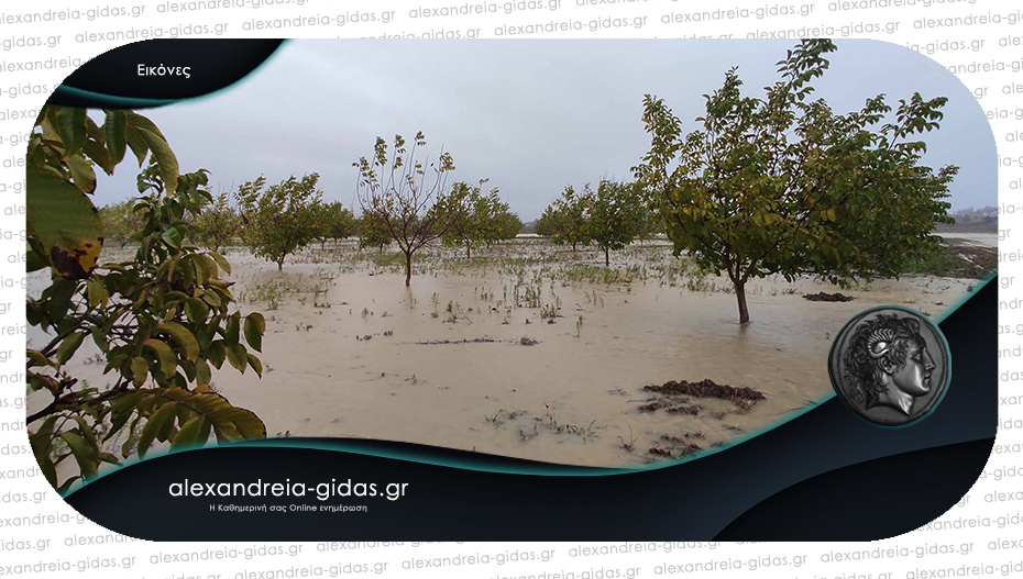 Πλημμύρισαν δρόμοι και χωράφια στα σύνορα δήμου Αλεξάνδρειας και δήμου Πύδνας – Κολινδρού