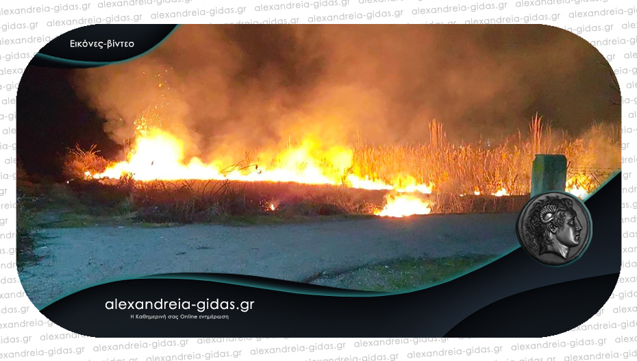 Φωτιά σε κατοικημένη περιοχή του Λουτρού