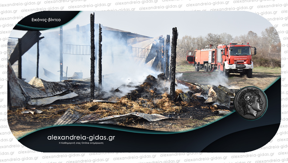 Φωτιά σε κτηνοτροφική μονάδα στην Κυψέλη του δήμου Αλεξάνδρειας – κάηκαν ζώα