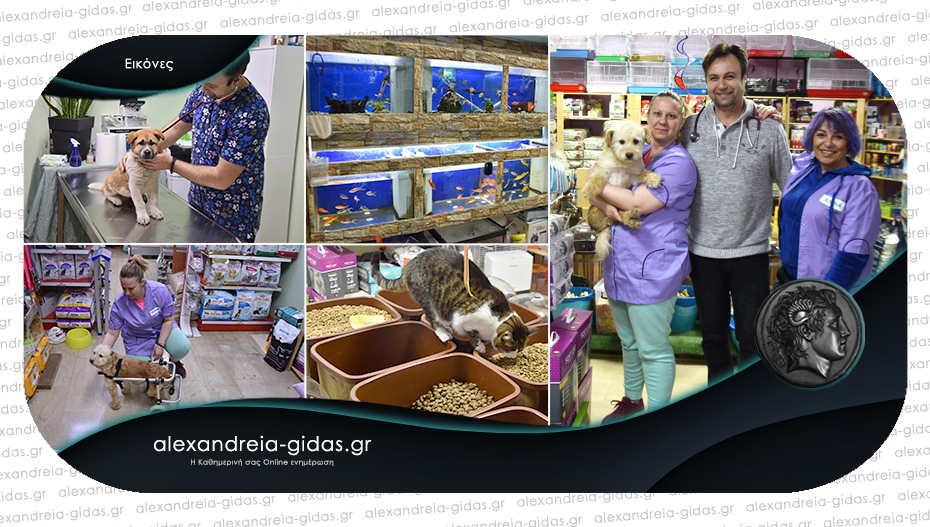 Το Pet Shop της ΕΛΕΝΑΣ στην Αλεξάνδρεια που αγαπάει αληθινά τους μικρούς μας φίλους!