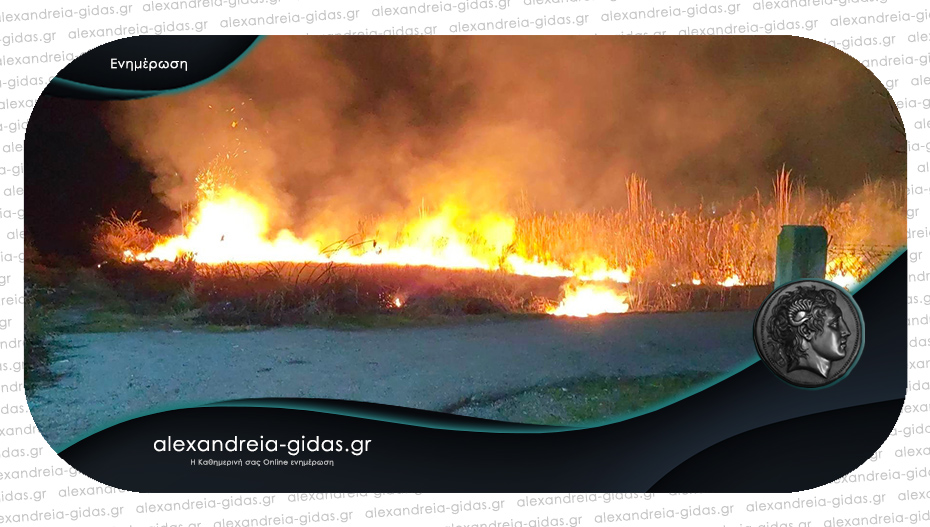 Οδηγίες για προστασία από τις δασικές πυρκαγιές από την Πολιτική Προστασία του δήμου Αλεξάνδρειας