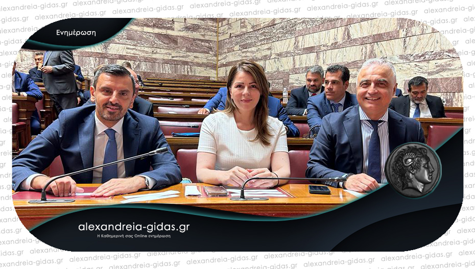 Την προεδρεία της Επιτροπής Δημόσιας Διοίκησης, Δημόσιας Τάξης και Δικαιοσύνης ανέλαβε ο Τσαβδαρίδης