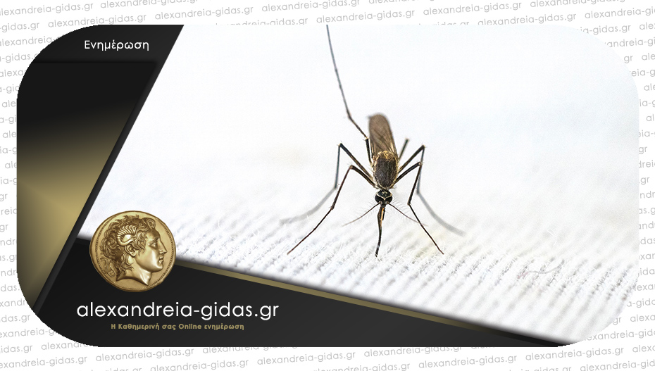 Μολυσμένα κουνούπια – συνεχίζονται οι ψεκασμοί σε Τρίκαλα και Πλατύ