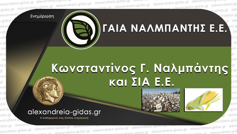 Πανέτοιμη για συγκέντρωση και παραλαβή καλαμποκιού και βαμβακιού η ΓΑΙΑ ΝΑΛΜΠΑΝΤΗΣ στην Αλεξάνδρεια!