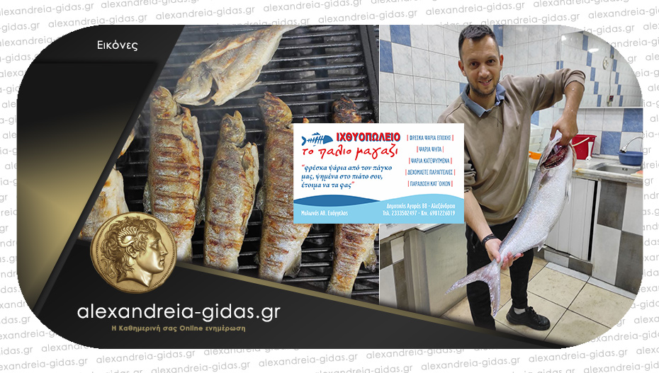 Ιχθυοπωλείο “Το Παλιό Μαγαζί” στην Αλεξάνδρεια: Σας ψήνει και σας τηγανίζει ψάρια και θαλασσινά!