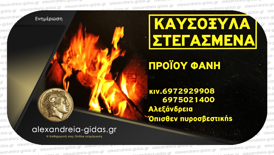 Βρείτε καυσόξυλα στην Αλεξάνδρεια από 70€/κυβικό και τσάντα με καυσόξυλα στα 10€ στην ΠΡΟΙΟΥ ΦΑΝΗ!