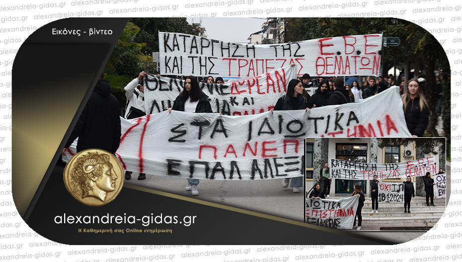 Πορεία των μαθητών της Αλεξάνδρειας – διαμαρτύρονται για τα Ιδιωτικά Πανεπιστήμια