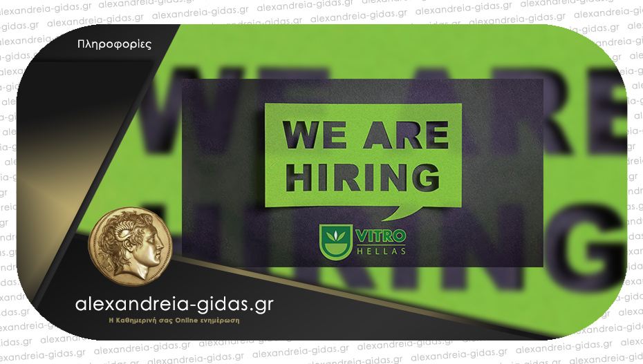 Θέση εργασίας στη Vitro Hellas: Ζητείται λογιστής / λογίστρια