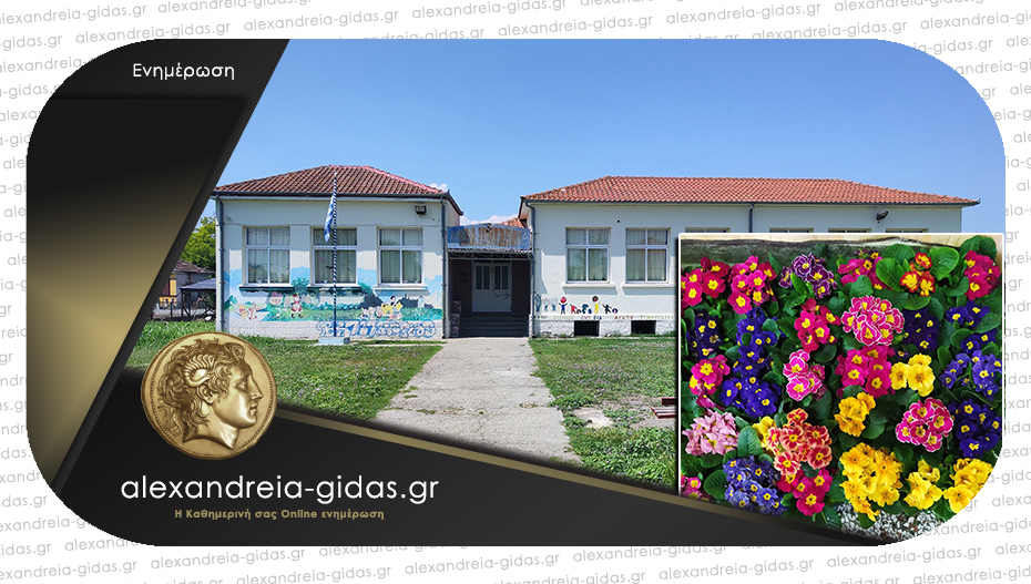 Ο Διονύσης Τζιόλης προσέφερε γλάστρες και λουλούδια στο Δημοτικό Σχολείο Καψόχωρας – Νησελίου