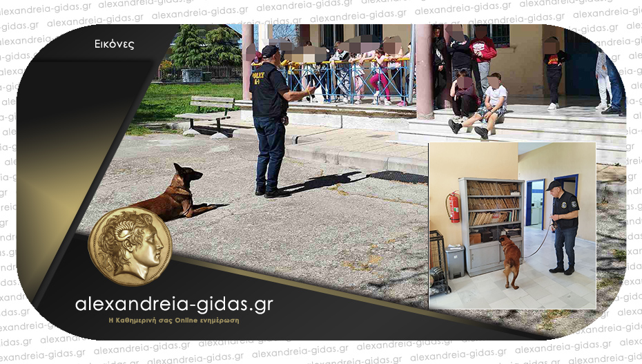 Ένας αστυνομικός σκύλος στο Δημοτικό Σχολείου Καμποχωρίου – Βρυσακίου!