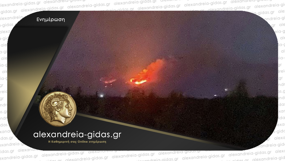 Φωτιά σε Ημαθίας και Πέλλα – κεραυνός η πιθανή αιτία