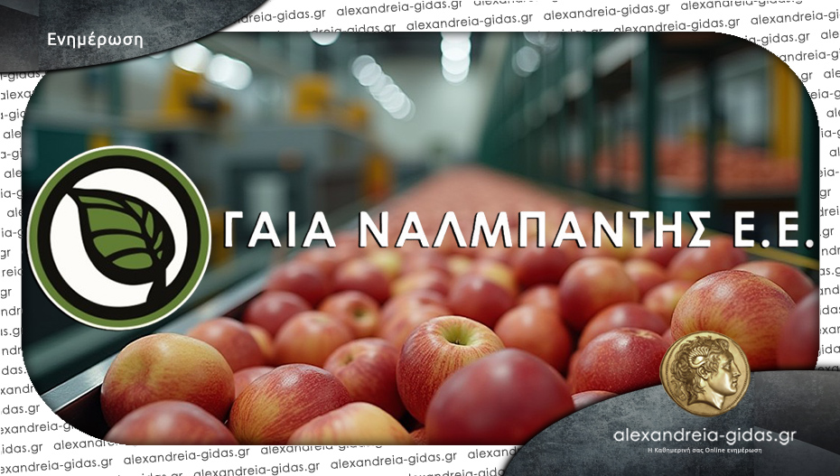 ΓΑΙΑ ΝΑΛΜΠΑΝΤΗΣ στην Αλεξάνδρεια: Με αξιοπιστία και η παραλαβή μήλων για χυμό!