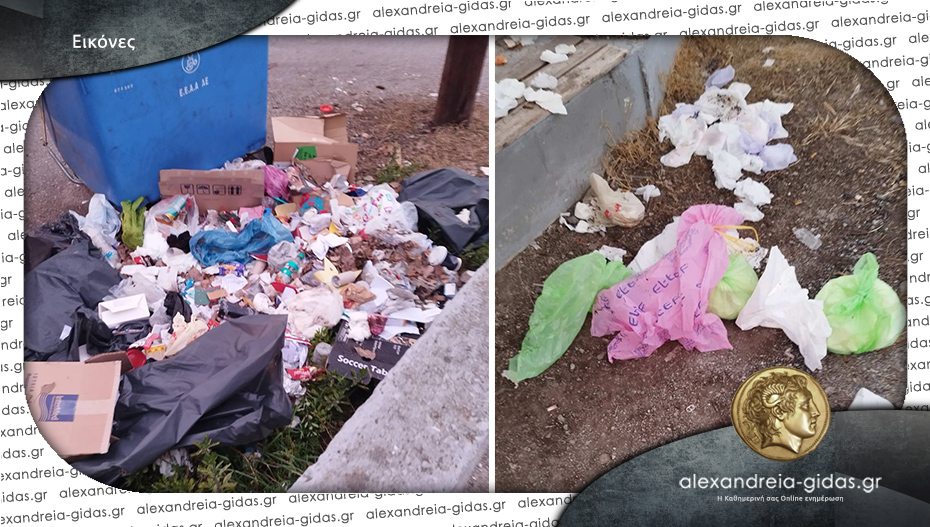 Ανακοίνωση του 4ου Δημοτικού Σχολείου Αλεξάνδρειας: “Ας σεβαστούμε τον εαυτό μας και την πόλη”