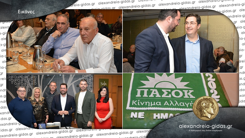 Έκοψε την βασιλόπιτα το ΠΑΣΟΚ Ημαθίας