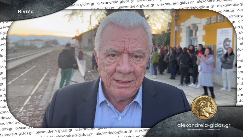 Τι απάντησε ο δήμαρχος Αλεξάνδρειας για το περιστατικό με τον μαθητή και το τρένο