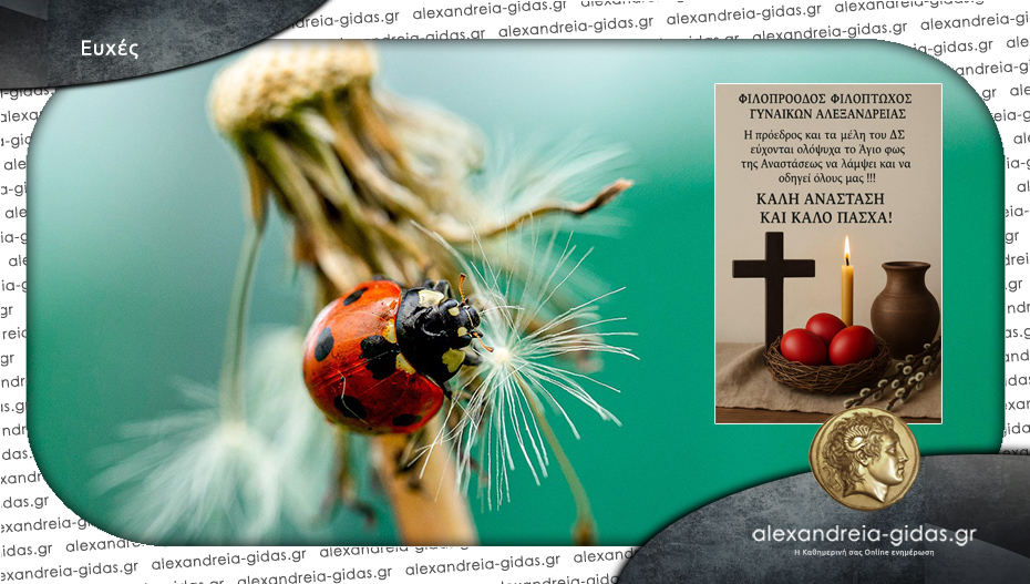Ευχές από την Φιλοπρόοδο – Φιλόπτωχο Γυναικών Αλεξάνδρειας